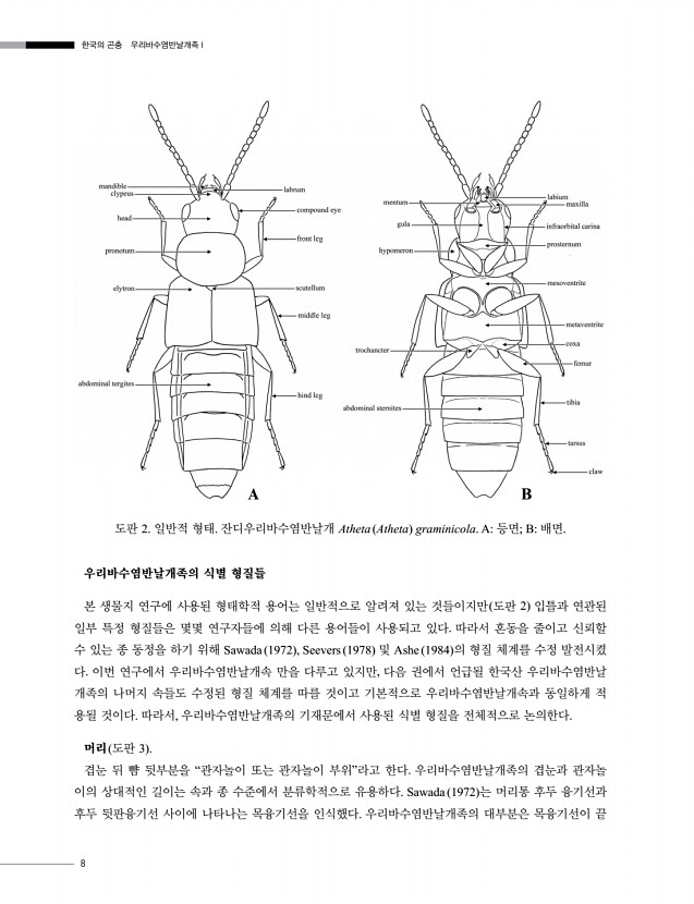 8페이지