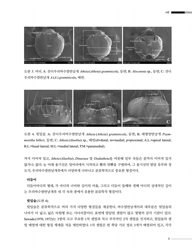 9페이지