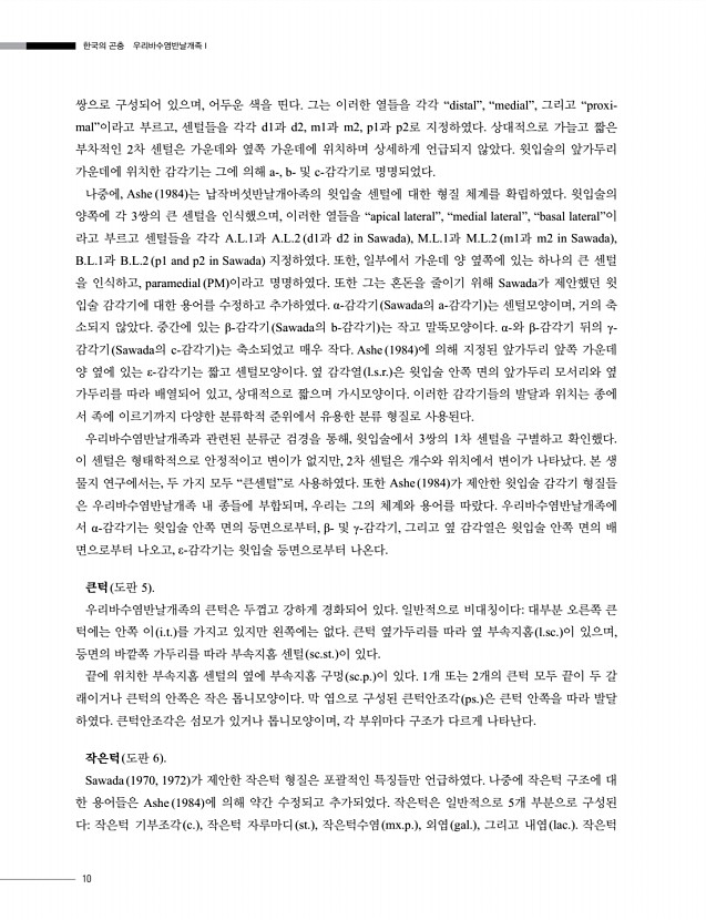 10페이지