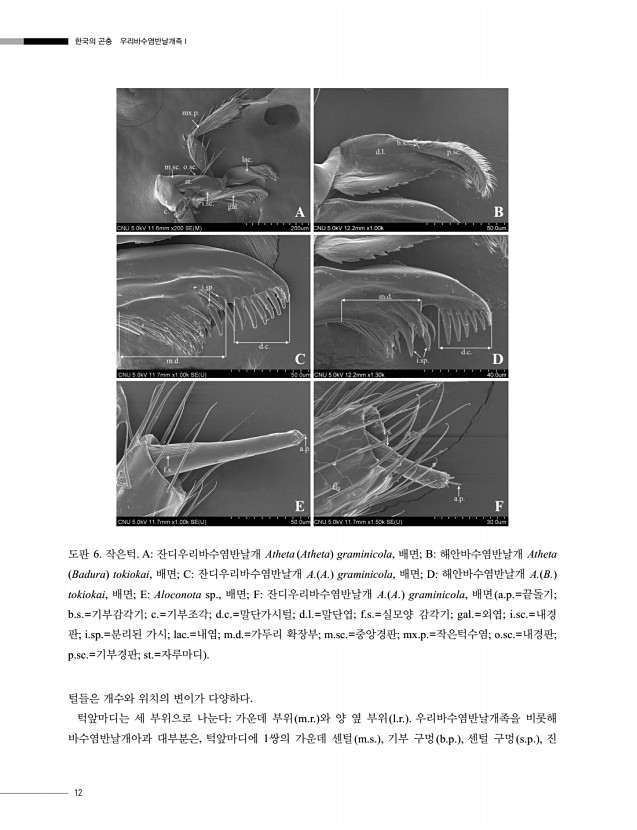 12페이지