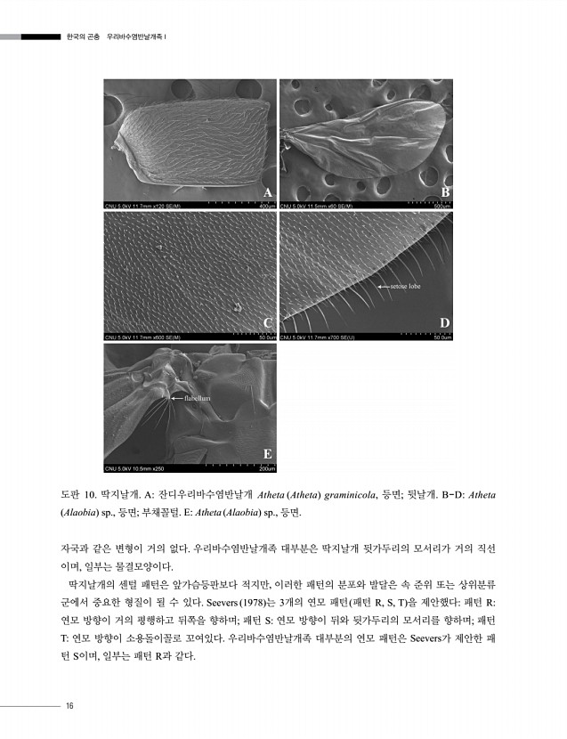 16페이지