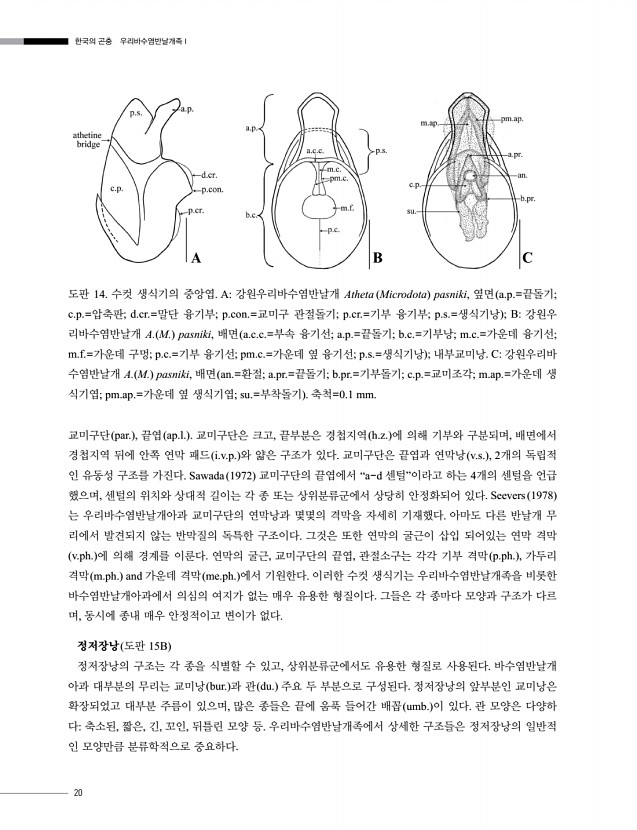 20페이지