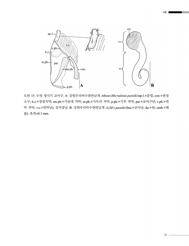 21페이지