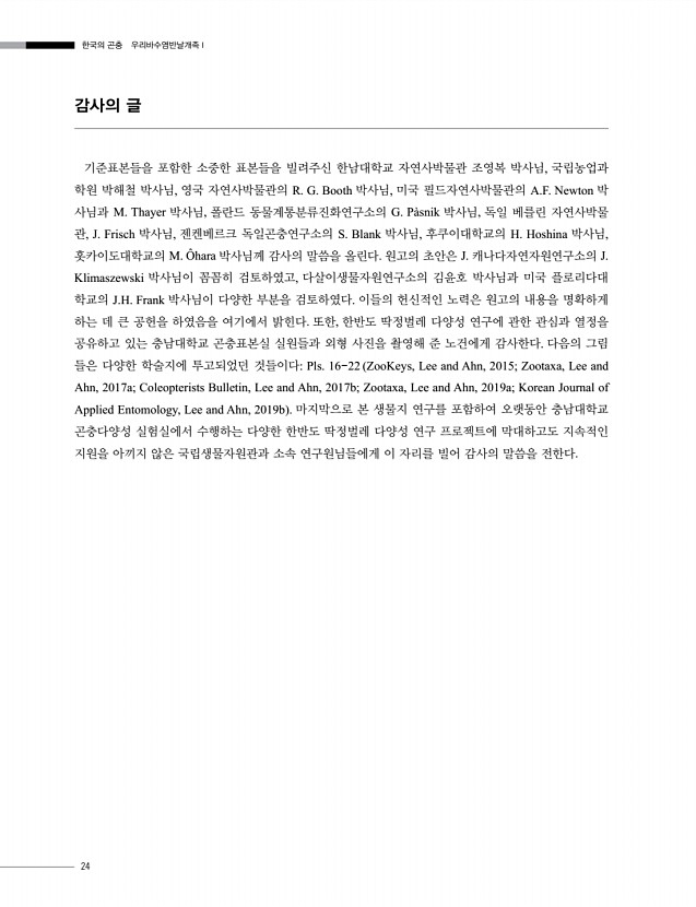 20페이지