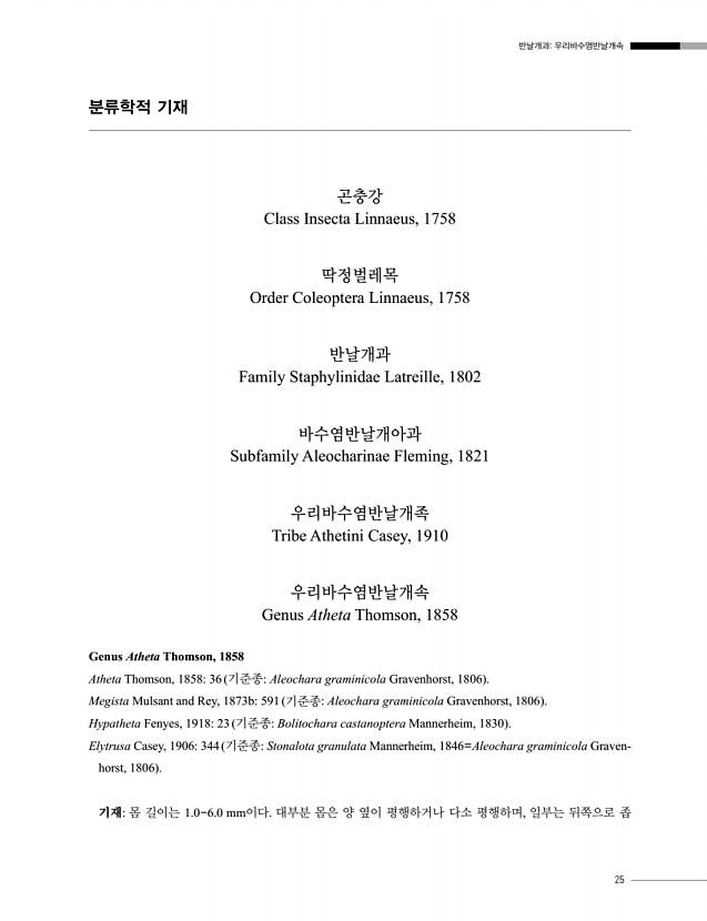 21페이지