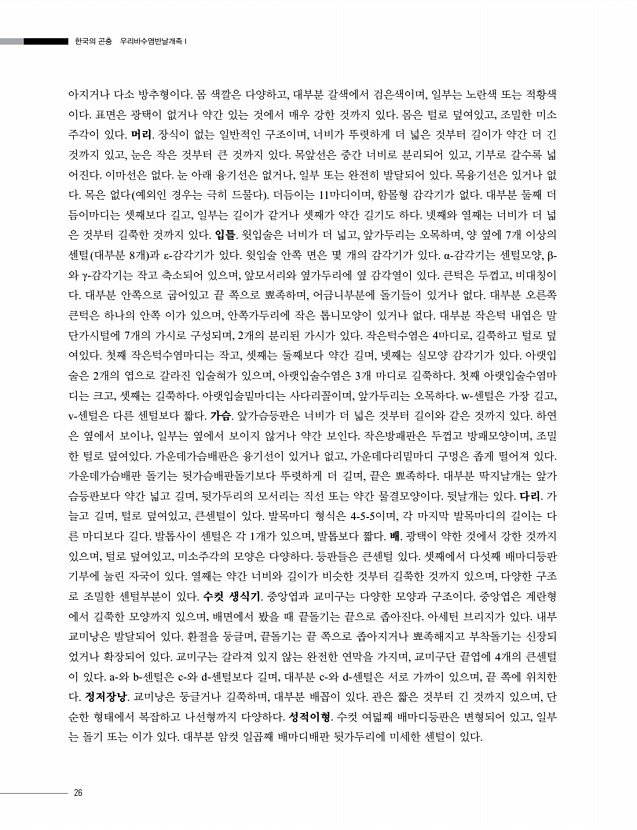 22페이지