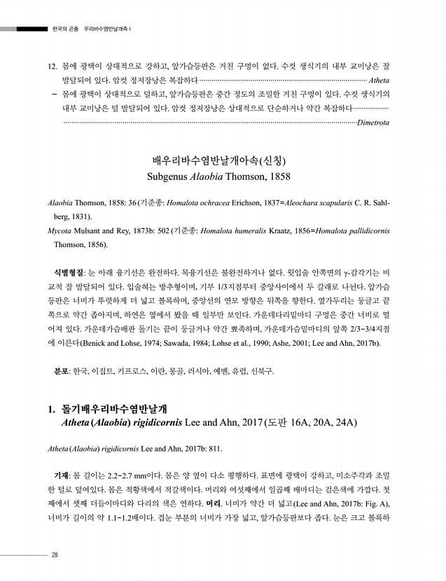 24페이지