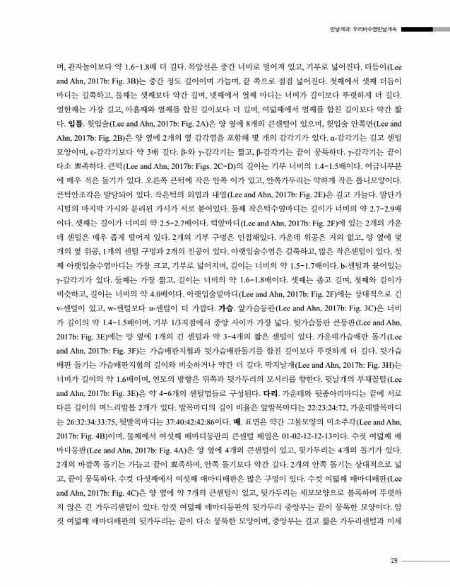 25페이지