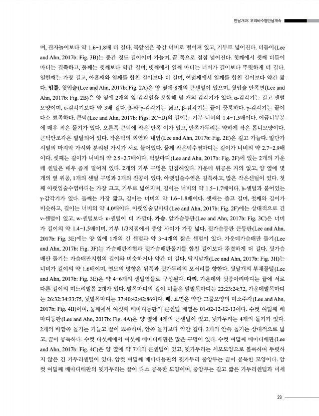 29페이지