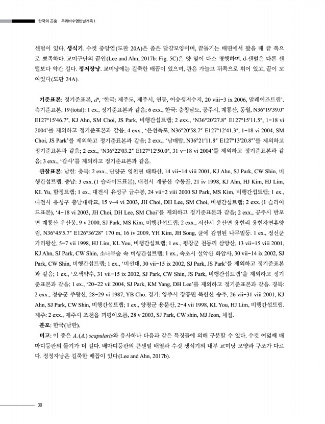 26페이지
