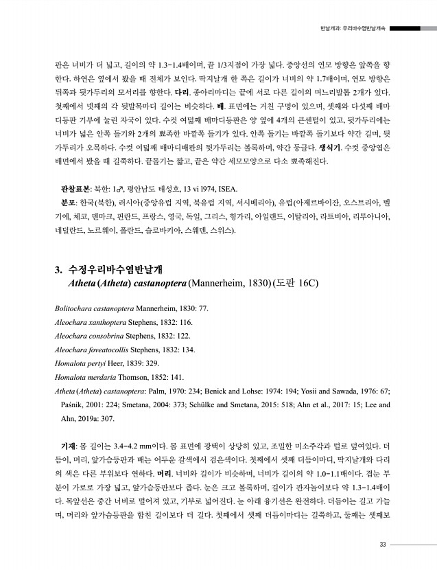 29페이지