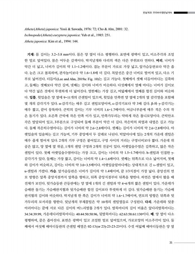 35페이지