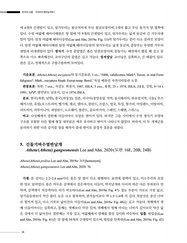 32페이지