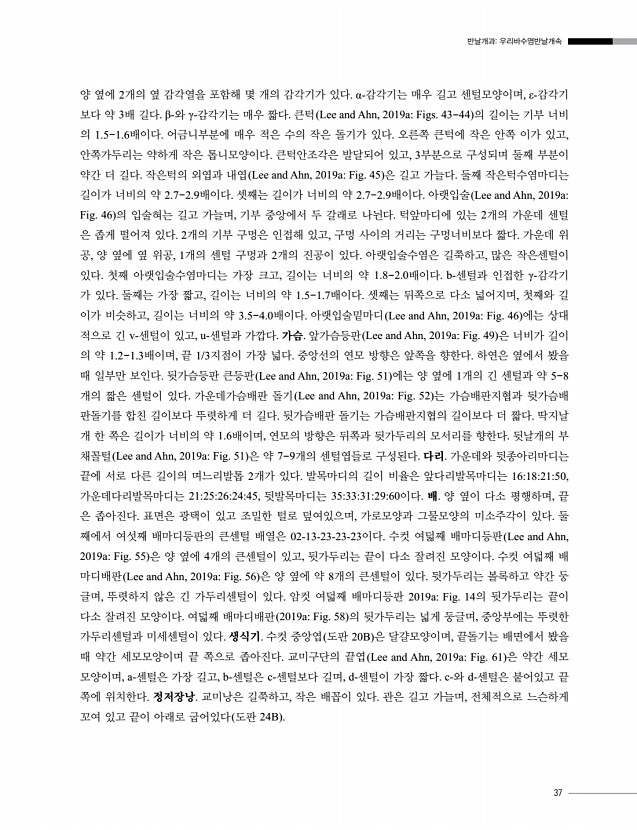 33페이지