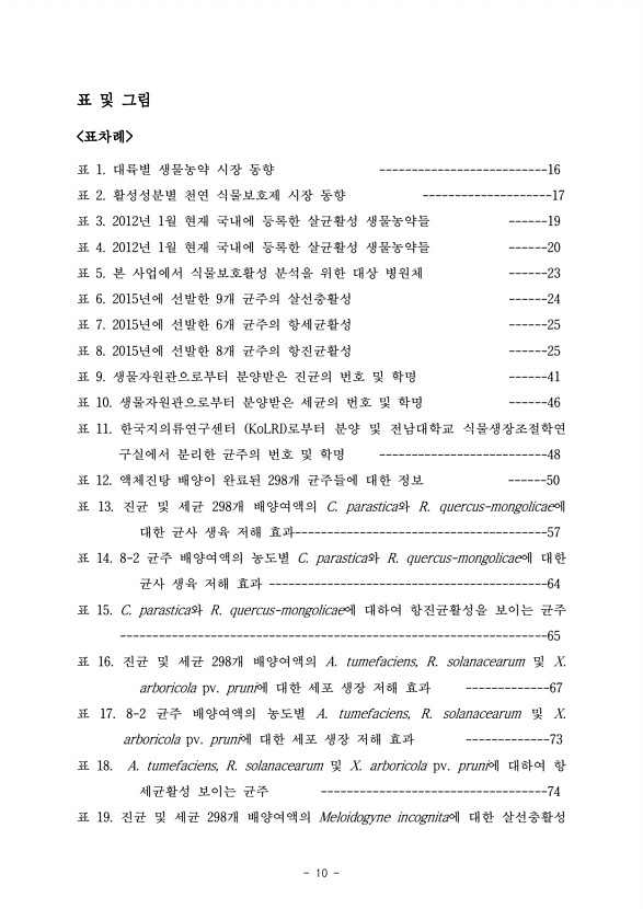 10페이지