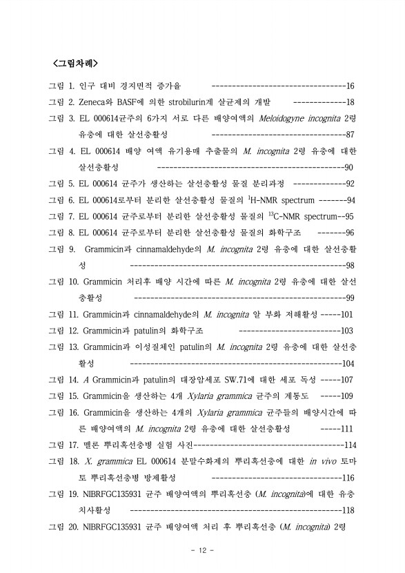 12페이지