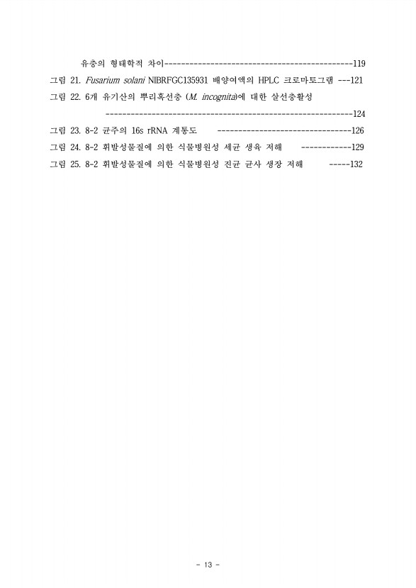 13페이지