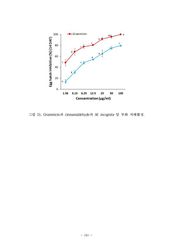 100페이지