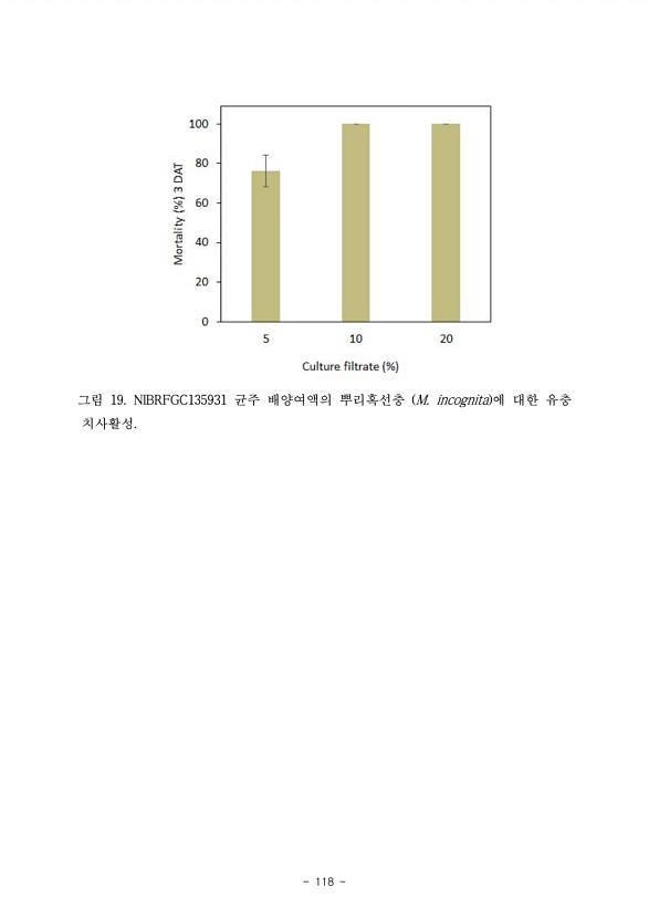 117페이지