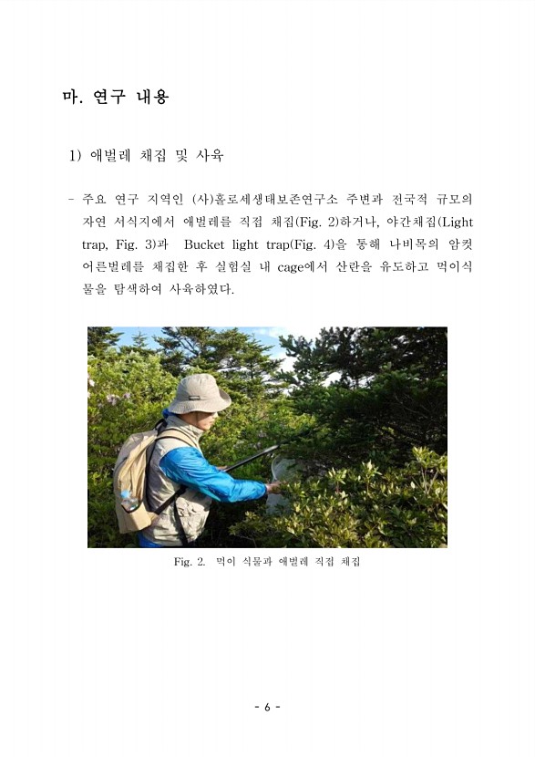 6페이지
