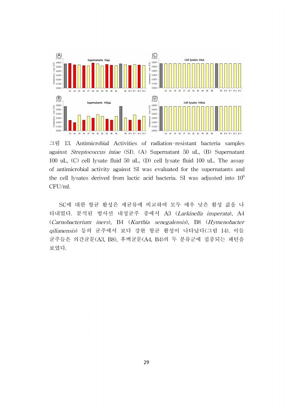 29페이지