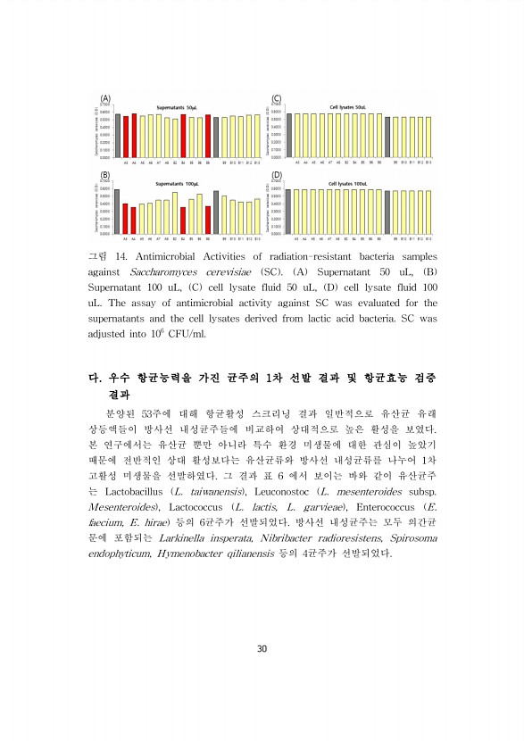 30페이지