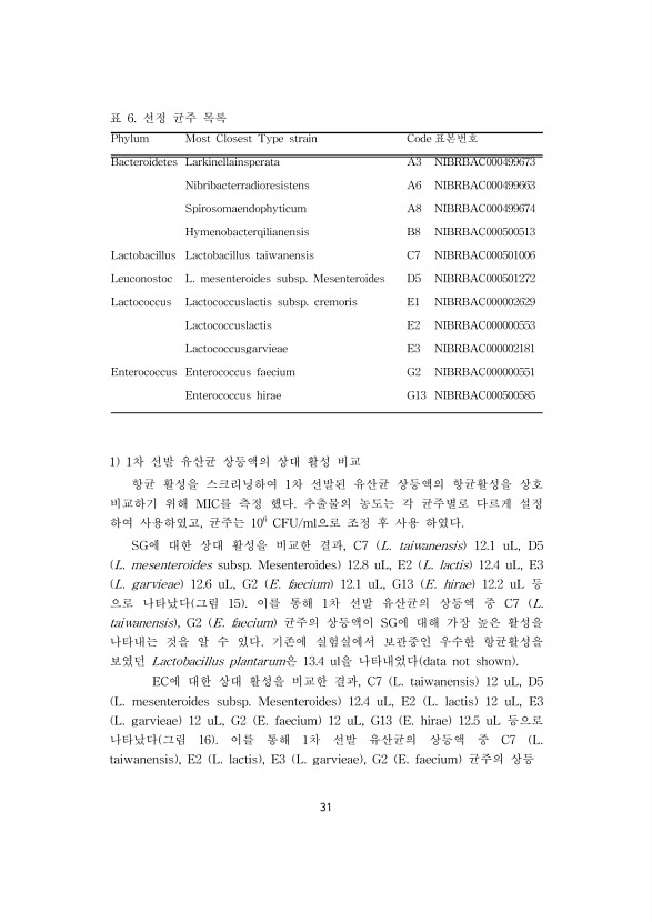 31페이지