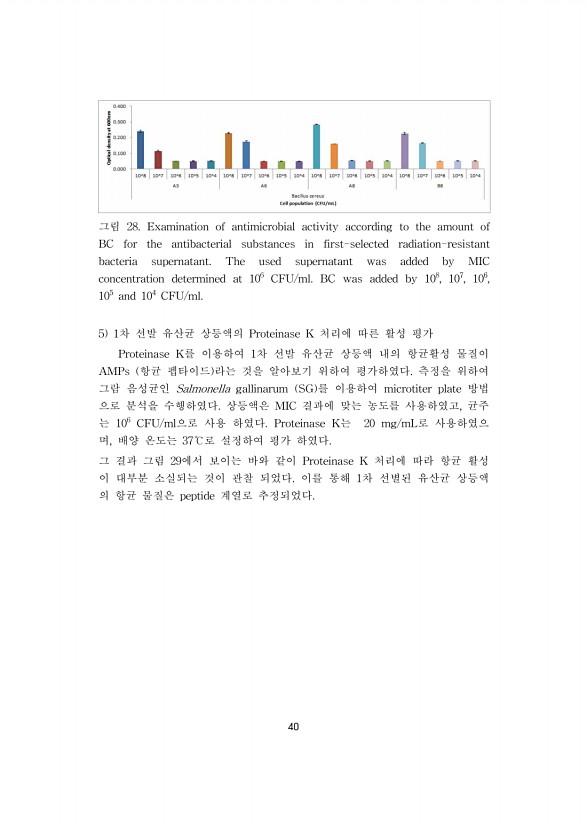 40페이지