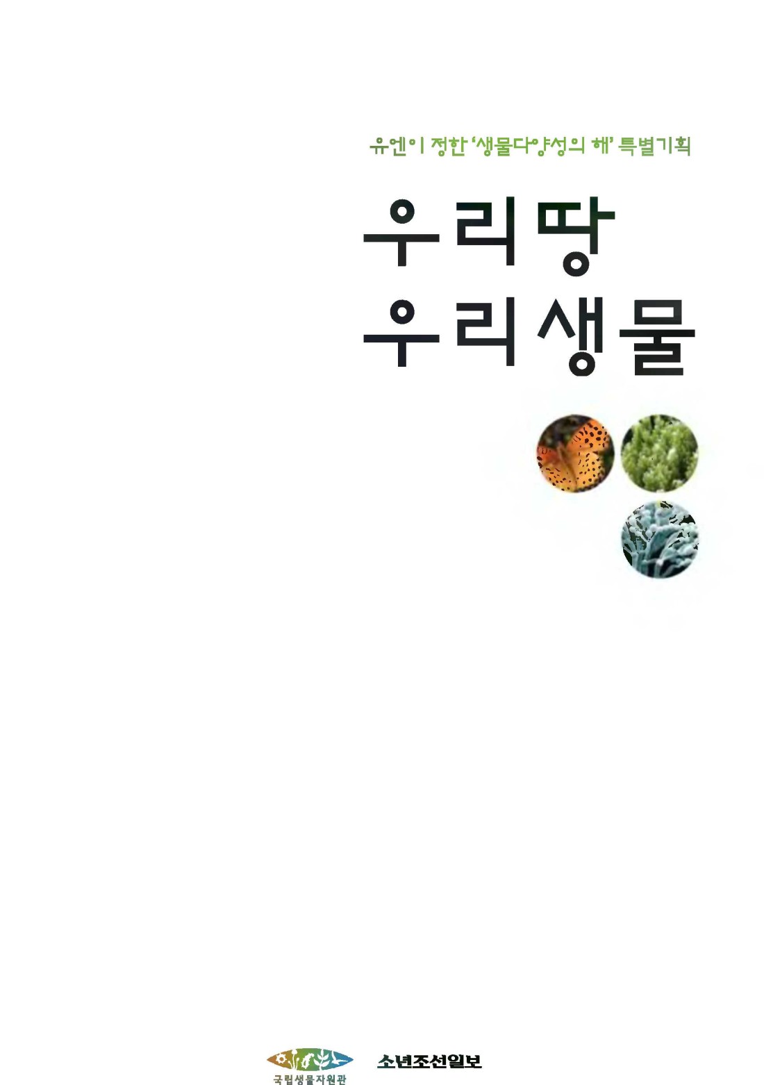 페이지