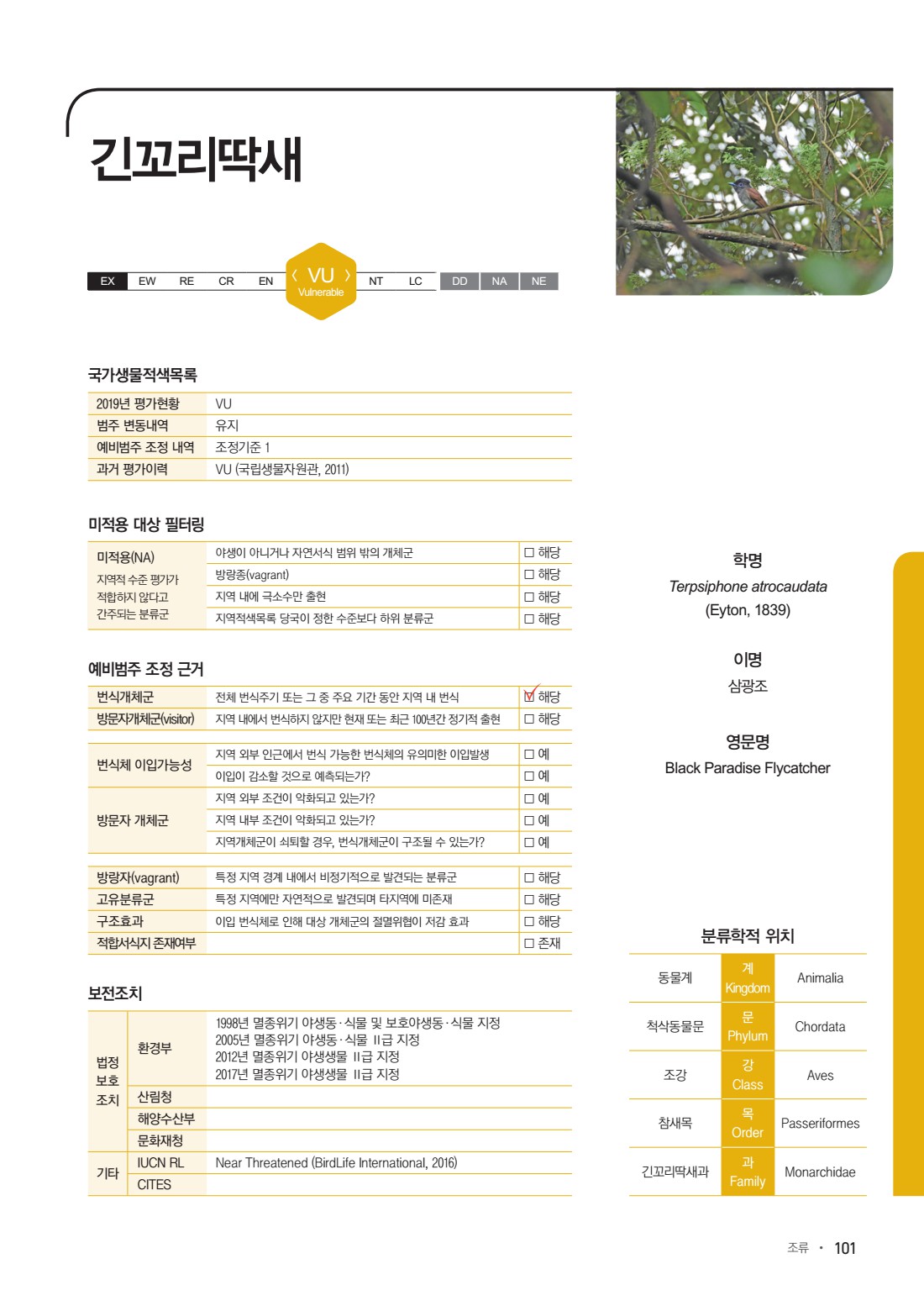 페이지