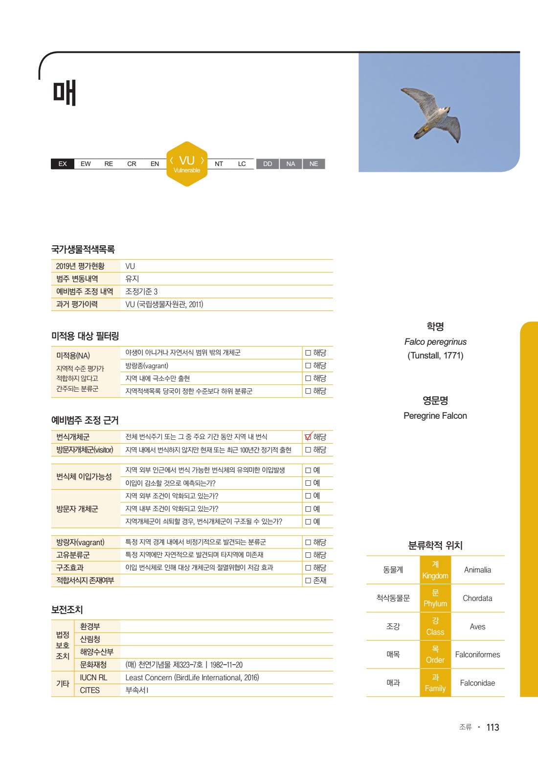 페이지