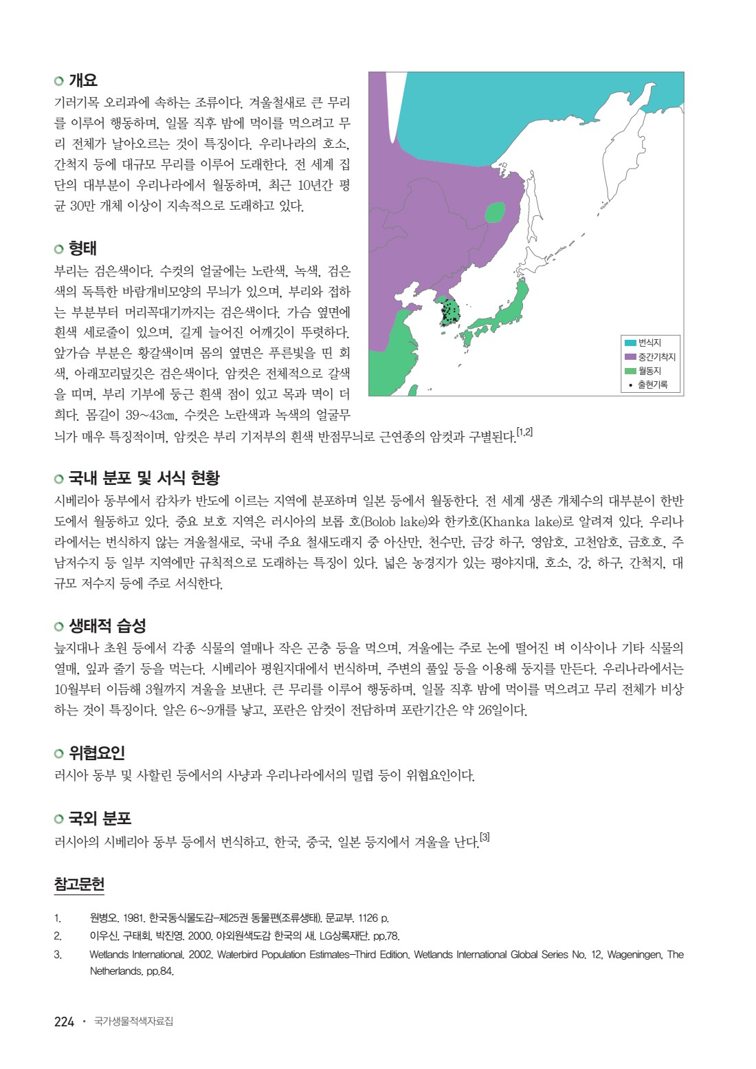 페이지