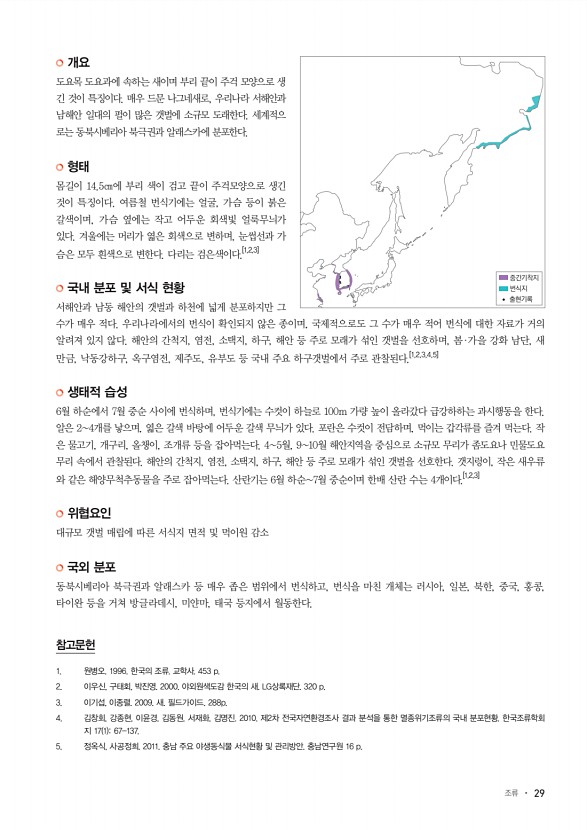 29페이지