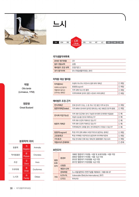 30페이지