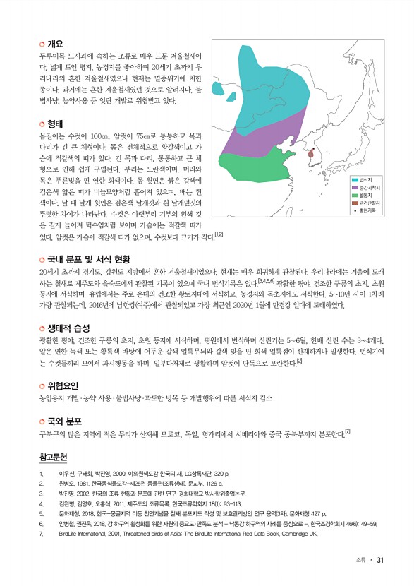 31페이지