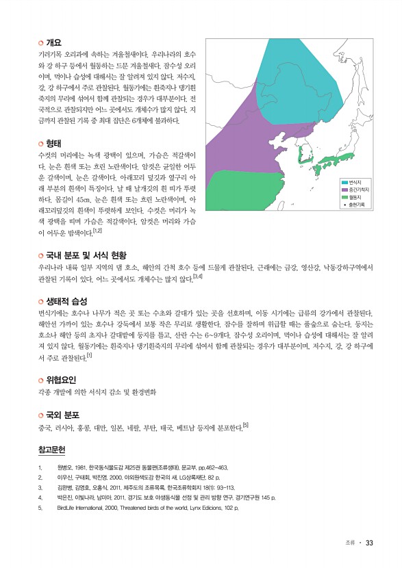 33페이지