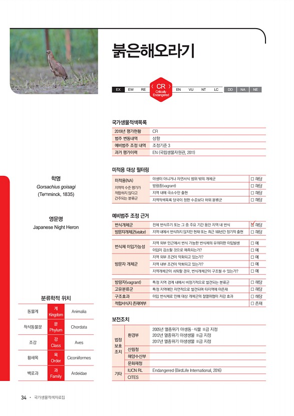 34페이지