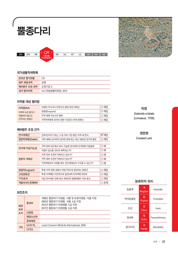 37페이지