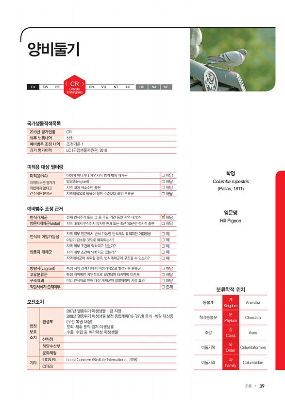 39페이지