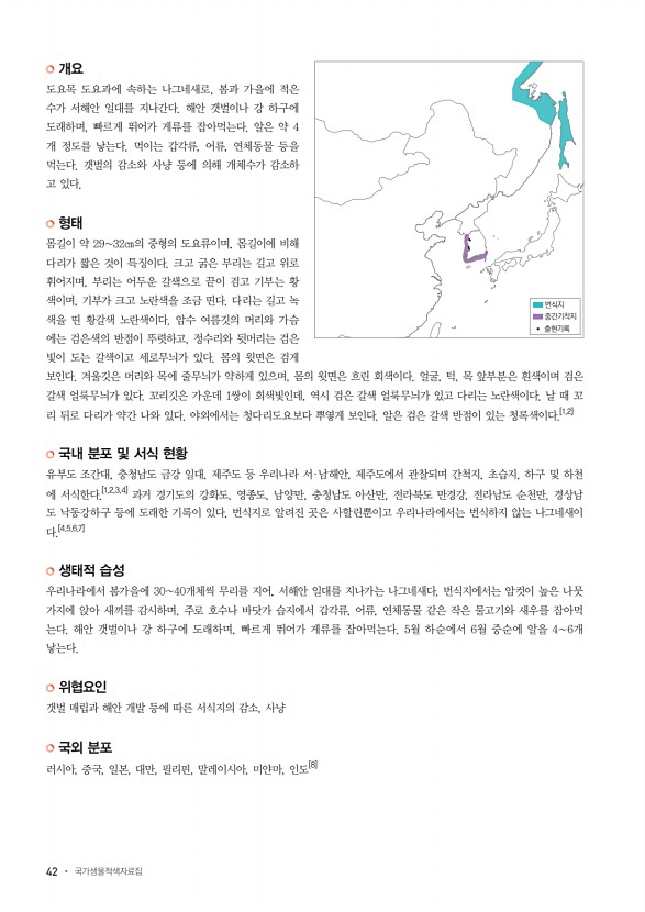 42페이지