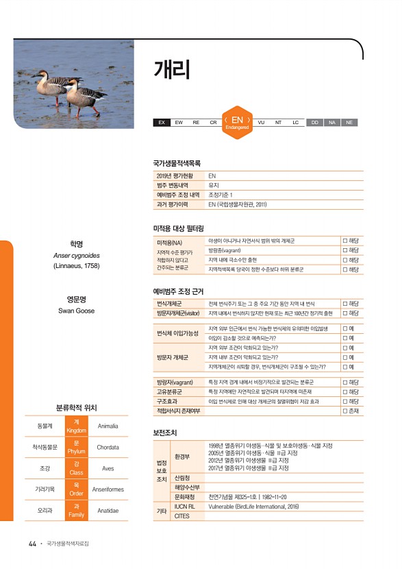 44페이지