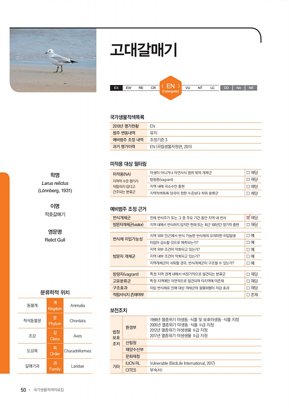 50페이지