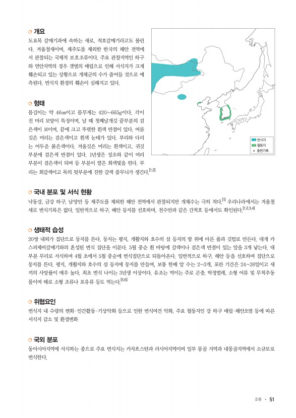 51페이지