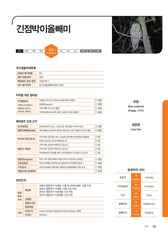 53페이지