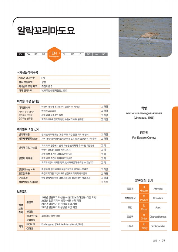 75페이지