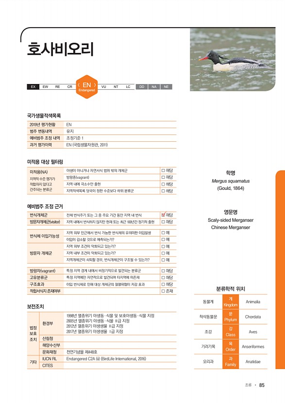 85페이지