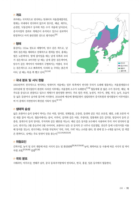 91페이지