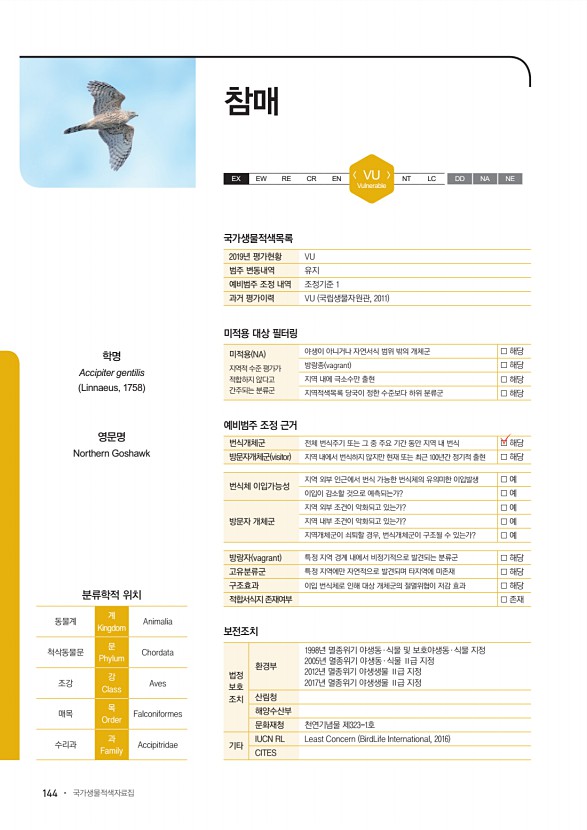 144페이지