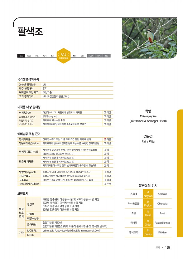 155페이지
