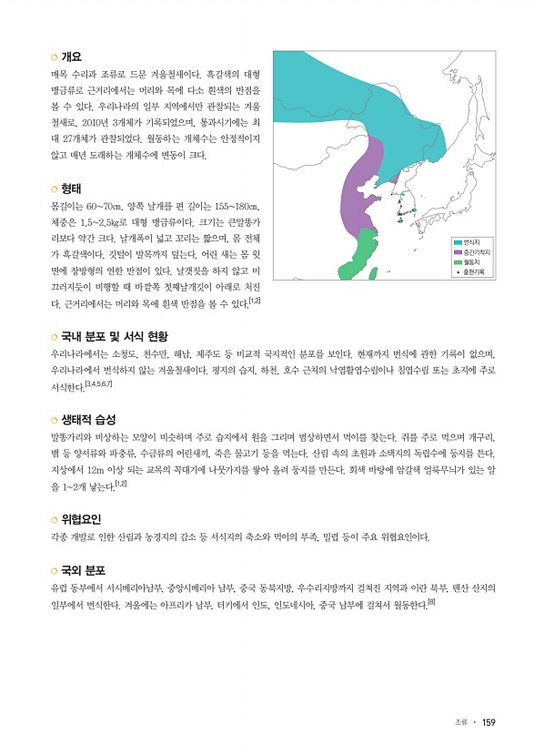 159페이지